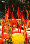 Chihuly glass sculpture, glass orbs, glass sculpture
