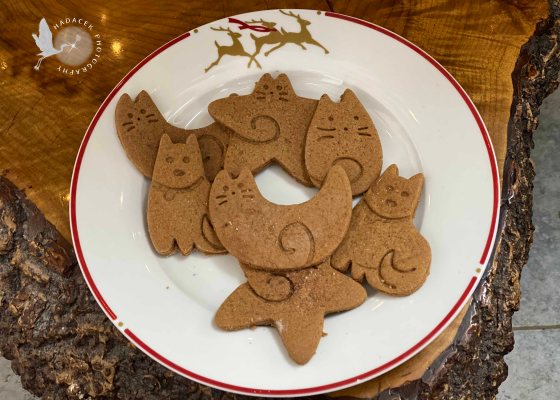 gingerbread cookies cats and dogs